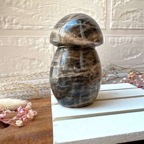 Gorgeous Black Moonstone Mushroom Carving - Picture 1 of 8